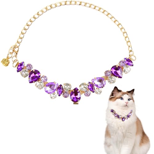 HOWWFALY Purple Diamonds Gold Link Style Katzen- und Hundehalsband mit Haustierpfoten-Design, Edelstahl, verstellbar, L, Unisex, kleine und mittelgroße Haustiere HOWWFALY Purple Diamonds Gold Link Style Katzen- und Hundehalsband mit Haustierpfoten-Design, Edelstahl, verstellbar, L, Unisex, kleine und mittelgroße Haustiere von HOWWFALY