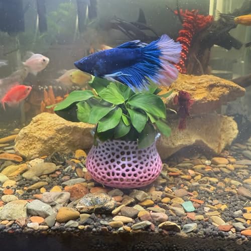 Aquarium-Pflanztopf, Unterwasser-Pflanzanker, Aquarium-Pflanzgefäß, Aquarium-Landschaftsbau, Dekoration, Pflanzenbecherhalter, dekoratives Zubehör für Aquarien, 2-teiliges Set (Farbe) von HOZOE