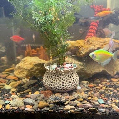 Aquarium Unterwasserpflanzentopf, Unterwasser-Pflanzanker, Aquarium-Pflanzgefäß, Aquarium-Landschaftsbau, Dekoration, Pflanzenbecherhalter, Aquarium-dekoratives Zubehör, 2-teiliges Set (Holz) von HOZOE