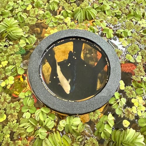 HOZOE Aquarium Betta Hängematte, Betta Versteck & Höhle, schwimmender Futterring für Fische und Garnelen, Aquarium schwimmende Dekoration Zubehör (Schwarz) von HOZOE