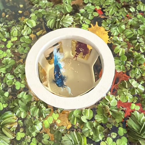HOZOE Betta-Hängematte für Aquarien, Betta-Versteck und Höhle, schwimmender Futterring für Fische und Garnelen, Aquarium-Dekoration, Zubehör (Holzfarbe) von HOZOE