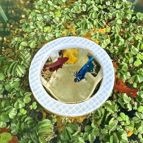 HOZOE Betta-Hängematte für Aquarien, Betta-Versteck und Höhle, schwimmender Futterring für Fische und Garnelen, Aquarium-Dekoration, Zubehör (durchscheinende Farbe) von HOZOE