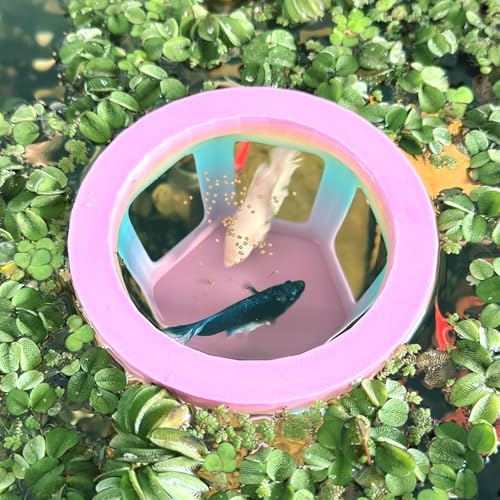 HOZOE Betta-Hängematte für Aquarien, Betta-Versteck und Höhle, schwimmender Futterring für Fische und Garnelen, schwimmendes Dekorations-Zubehör (Farbe) von HOZOE