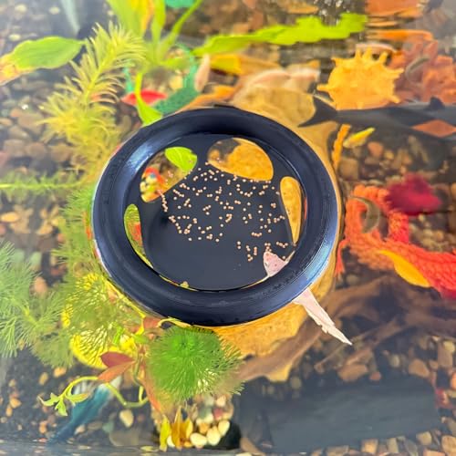 HOZOE Floating Betta Fish Hideaway Aquarium Suspended Ruheplatz Feeder für kleine Fische und Garnelen 3D Gedruckt Dekorative schwimmende Höhle Zubehör für Aquarien (Schwarz) von HOZOE