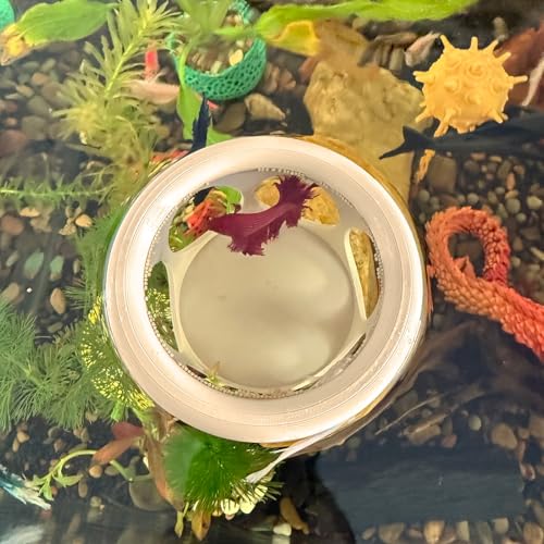 HOZOE Schwimmendes Betta-Fischversteck für Aquarien, hängender Ruheplatz, Futterspender für kleine Fische und Garnelen, 3D-Druck, dekoratives schwimmendes Höhlenzubehör für Aquarien (Holzfarbe) von HOZOE