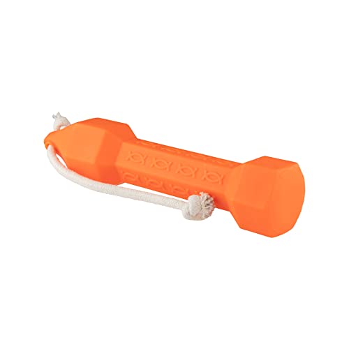 HP&G home, pets & garden Apportierdummy Balance Orange, Trainingsdummy ca. 30 cm lang, Apportierdummy für das Hundetraining, Durchmesser von ca. 7,2cm und 320 Gramm schwer, robust und langlebig von HP&G home, pets & garden