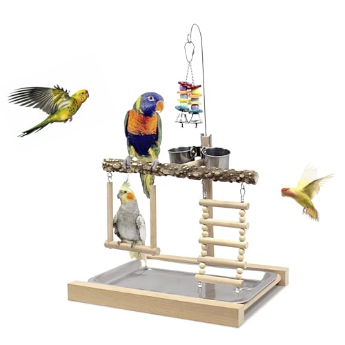 Bird Life Activity Center, Pet Stand Plattform Papageienspielzeug für kleine Vögel, Vogelstange mit Leiter, Holzschaukel, hängende Glocke, Futterschale und Tablett, Kletterspielzeug von HPAWHOMEPART
