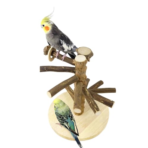 Einfache Pricklyash Holz Vogel Sitzstangen Tischplatte Portable Papagei Training Stand Play Gym Exercise Center für kleine und Meidum Vögel Sittich Lovebirds Cockatiel von HPAWHOMEPART