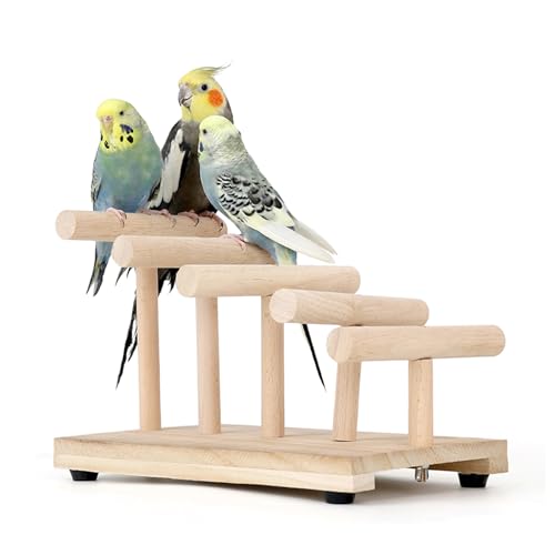 Natürliches Holz Einfacher Vogelständer Tischplatte Tragbarer Papageienständer Spielplatz Laufstall Geeignet für kleine und mittlere Vögel Algen Spielzeug für Sittich Unzertrennliche Wellensittiche von HPAWHOMEPART