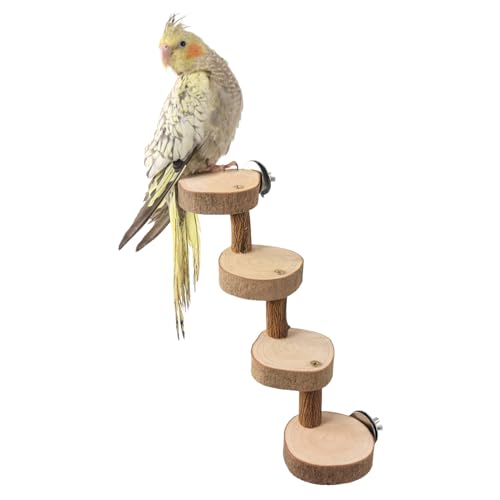 Natürliches Holz Vogel Paltform Papagei Sitzstange Stand Vogelkäfig Zubehör für kleine und mittlere Vogel Pet Rest Station Vogelspielzeug für Fink, Sittiche, Unzertrennliche, Nymphensittich von HPAWHOMEPART