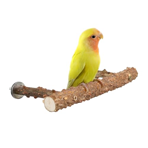 Natürliches Holz Vogel Perch Stachelholz Papagei Stand Vogelkäfig Zubehör Spielzeug Zweig für Papagei Stick Pfote Schleifen Gabel Vogel Spielzeug für kleine und mittlere Vögel von HPAWHOMEPART