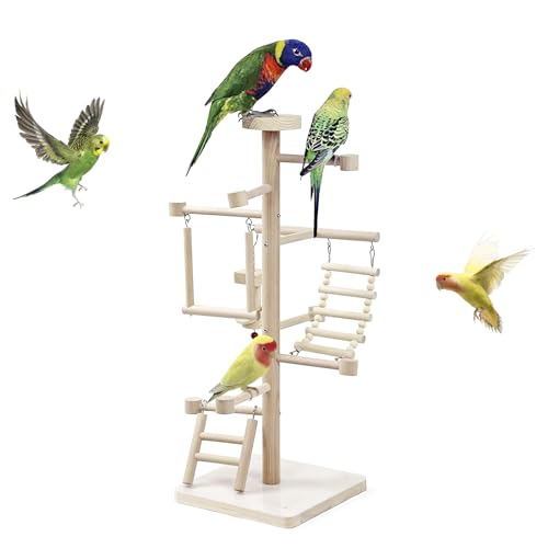 Papagei Spielstand Naturholz Vogel Sitzstangen Stand, Vogel Spielplatz Laufstall für Sittich Nymphensittich Vogel Spielzeug, Vogelkäfig Zubehör von HPAWHOMEPART