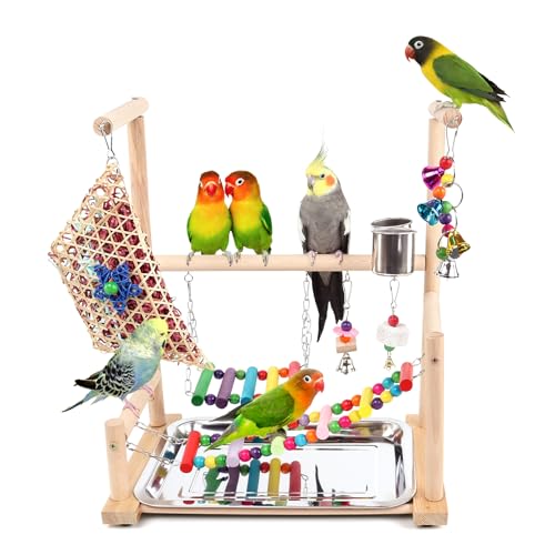 HPAWHOMEPART Vogelspielplatz, Spielständer für Papageienkäfig Zubehör (Eine Leiter mit Kauspielzeug) von HPAWHOMEPART