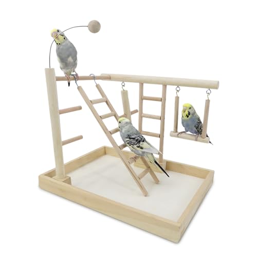 Papageienspielgerüst Vogelspielplatz Holz Sitzstange Gym Laufstall mit Leiter Schaukel - Spielgerüst Übung Spielzeug Käfig Zubehör Playgym für Haustier Wellensittich Sittiche von HPAWHOMEPART