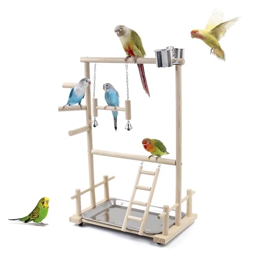 Parrot PlayStand Bird Playground Natural Wood Perch Gym Stand Playpen Ladder feeding cups bell toys swing for parakeet von HPAWHOMEPART
