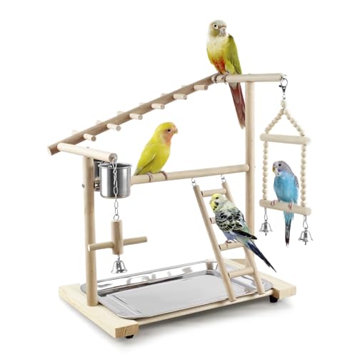 Parrots Playstand Bird Playground Holz Sitzstange Gym Stand Playpen Ladder mit Spielzeug Übung Playgym mit Feeder Tassen Kauspielzeug Schaukeln Leitern Sitzstangen Übung Spielzeug von HPAWHOMEPART