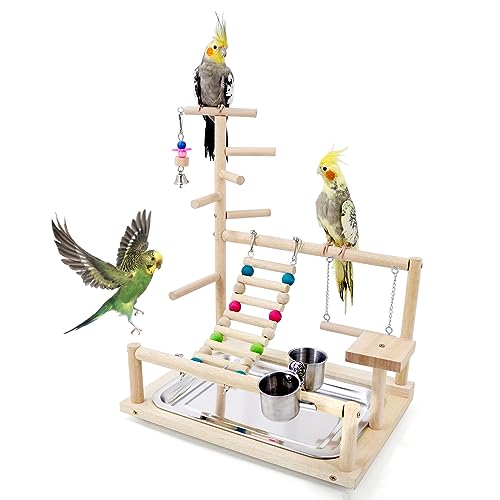 HPAWHOMEPART Vogel-Spielständer für Nymphensittiche, Spielplatz, Sitzstange, Papageienspielstation für Sittiche, Sittiche, Papageien, Finken, einfache Montage, inklusive buntem Spielzeug und HPAWHOMEPART Vogel-Spielständer für Nymphensittiche, Spielplatz, Sitzstange, Papageienspielstation für Sittiche, Sittiche, Papageien, Finken, einfache Montage, inklusive buntem Spielzeug und von HPAWHOMEPART