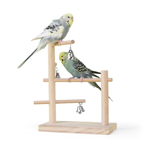 einfache Vogel Spielplatz Naturholz Papagei Tischplatte Training Stand Übung Gym Center Vogel Spielstand mit Glocke Spielzeug für kleine und mittlere Vögel von HPAWHOMEPART