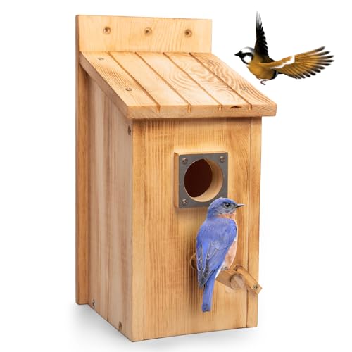 HPC Decor Vogelhäuser aus Holz für den Außenbereich mit Stange, Holz-Vogelhäuser mit Metall-Raubtierschutz, Kolibri-Haus zum Aufhängen, für den Außenbereich, Kolibri, Finken, Kardinäle (30,5 cm) HPC Decor Vogelhäuser aus Holz für den Außenbereich mit Stange, Holz-Vogelhäuser mit Metall-Raubtierschutz, Kolibri-Haus zum Aufhängen, für den Außenbereich, Kolibri, Finken, Kardinäle (30,5 cm) von HPC DEC R OUR HAPPY PLACE
