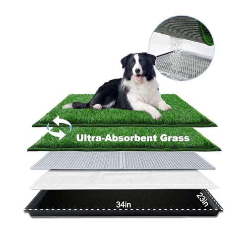 HQ4US 4LEGS Hundegrasunterlage mit Tablett, groß, 86,4 x 58,4 cm, Hundetöpfchen mit Ultra-Absorptions-Kunstrasen für Hunde mit gesäumtem Rand, Urinierpads für Hunde, realistisch, weniger Geruch, HQ4US 4LEGS Hundegrasunterlage mit Tablett, groß, 86,4 x 58,4 cm, Hundetöpfchen mit Ultra-Absorptions-Kunstrasen für Hunde mit gesäumtem Rand, Urinierpads für Hunde, realistisch, weniger Geruch, von HQ4US 4LEGS