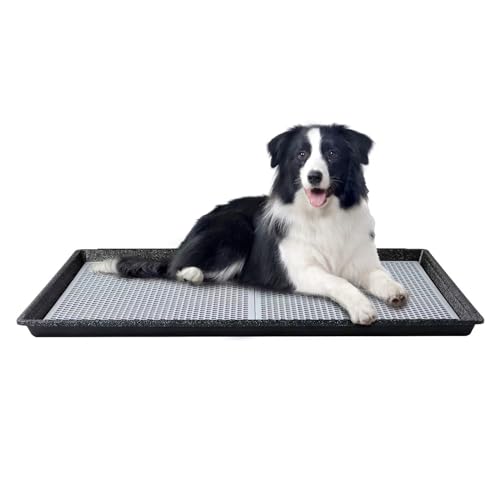 HQ4us Hunde-Urinier-Pad-Halter mit Gitterrost 86,4 x 58,9 cm, große Hundetoilette, Welpen-Pad-Halter, weniger Unordnung, Hundetöpfchen für drinnen und draußen für Balkon HQ4us Hunde-Urinier-Pad-Halter mit Gitterrost 86,4 x 58,9 cm, große Hundetoilette, Welpen-Pad-Halter, weniger Unordnung, Hundetöpfchen für drinnen und draußen für Balkon von HQ4US 4LEGS