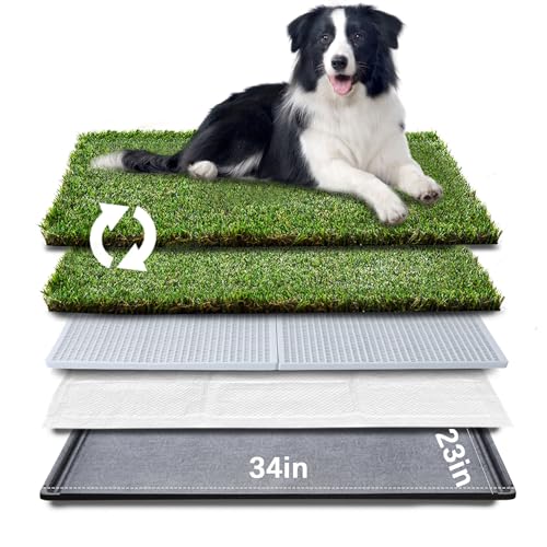 HQ4us Hundegrasunterlage mit Tablett, groß, 86,4 x 58,9 cm, Hundetoilette mit 2 × Kunstrasen für Hunde mit gesäumtem Rand, Urinierpads für Hunde, realistisch, weniger Geruch, Töpfchen für Balkon HQ4us Hundegrasunterlage mit Tablett, groß, 86,4 x 58,9 cm, Hundetoilette mit 2 × Kunstrasen für Hunde mit gesäumtem Rand, Urinierpads für Hunde, realistisch, weniger Geruch, Töpfchen für Balkon von HQ4US 4LEGS