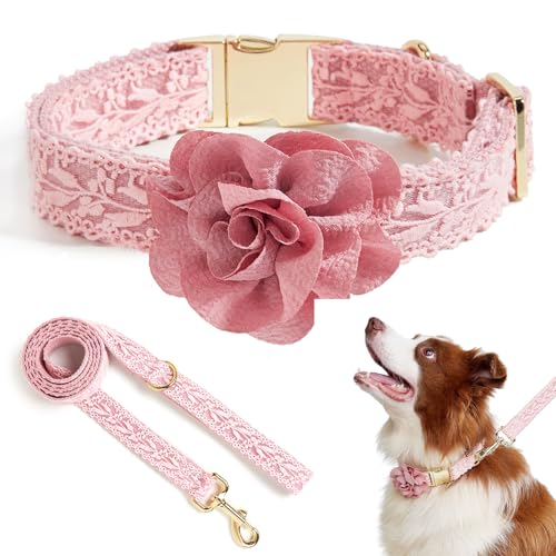 HQREA Summer Girl Hundehalsband und Leine, Set aus weicher Baumwolle, Spitze, handgefertigt, bestickt, personalisierbar, robust, für große Hunde, Größe L HQREA Summer Girl Hundehalsband und Leine, Set aus weicher Baumwolle, Spitze, handgefertigt, bestickt, personalisierbar, robust, für große Hunde, Größe L von HQREA