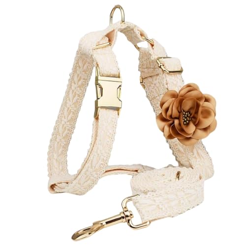 Hundegeschirr und Leine, niedliches Geschirr für Mädchen, luxuriös, ausgefallenes Welpengeschirr mit Schleife, verstellbare Spitze, Blumen, kein Ziehen, mit Griff, für einfaches Gassigehen mit dem Hundegeschirr und Leine, niedliches Geschirr für Mädchen, luxuriös, ausgefallenes Welpengeschirr mit Schleife, verstellbare Spitze, Blumen, kein Ziehen, mit Griff, für einfaches Gassigehen mit dem von HQREA