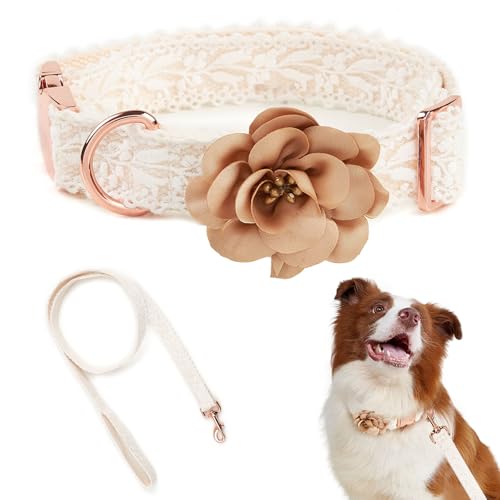 Spitzen-Hundehalsband-Set, modische Blumen, Welpen, Katzen, Hundehalsband, Kunst, bestickt, personalisierbar, verstellbar für kleine, mittelgroße und große Hunde (Medium) von HQREA