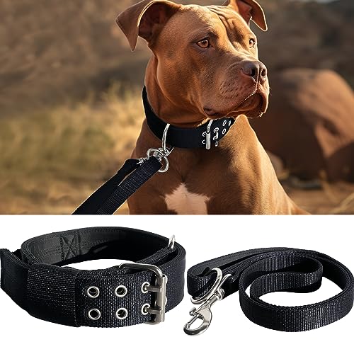 Großes Hundehalsband und Leine, schwarz, strapazierfähiges Halsband und Leine für Gaint Breed Hunde, 5,1 cm breit, mit Griffhalsband und 1,5 m Leine, starkes Nylon und Edelstahl, 43,2 cm - 55,9 cm von HQSHNY
