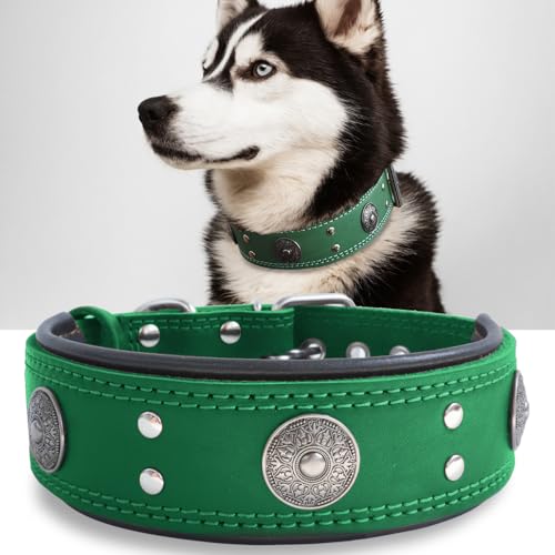 Hundehalsband Leder, 5 cm Breites Robustes Echtes Lederhalsband, Handgefertigt, Weich und Luxuriös, Auffällige Beste Wahl für Große und Mittelgroße Hunderassen, grün 42-52 cm Hundehalsband Leder, 5 cm Breites Robustes Echtes Lederhalsband, Handgefertigt, Weich und Luxuriös, Auffällige Beste Wahl für Große und Mittelgroße Hunderassen, grün 42-52 cm von HQSHNY