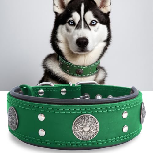 Hundehalsband Leder, 5 cm Breites Robustes Echtes Lederhalsband, Handgefertigt, Weich und Luxuriös, Auffällige Beste Wahl für Große und Mittelgroße Hunderassen, grün 49.5-60 cm Hundehalsband Leder, 5 cm Breites Robustes Echtes Lederhalsband, Handgefertigt, Weich und Luxuriös, Auffällige Beste Wahl für Große und Mittelgroße Hunderassen, grün 49.5-60 cm von HQSHNY