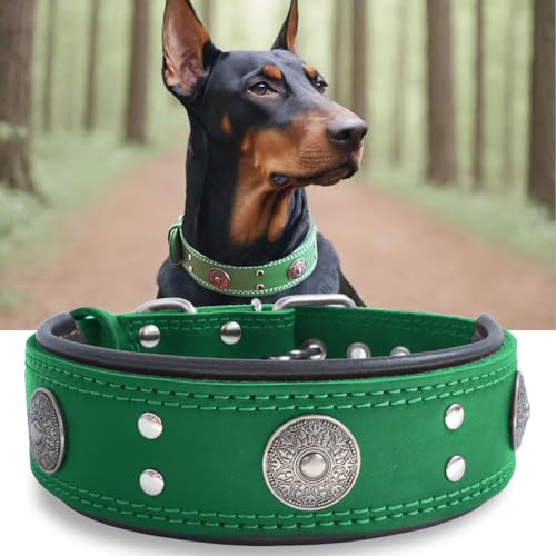 Hundehalsband Leder, 5 cm Breites Robustes Echtes Lederhalsband, Handgefertigt, Weich und Luxuriös, Auffällige Beste Wahl für Große und Mittelgroße Hunderassen, grün 57-67.5 cm Hundehalsband Leder, 5 cm Breites Robustes Echtes Lederhalsband, Handgefertigt, Weich und Luxuriös, Auffällige Beste Wahl für Große und Mittelgroße Hunderassen, grün 57-67.5 cm von HQSHNY