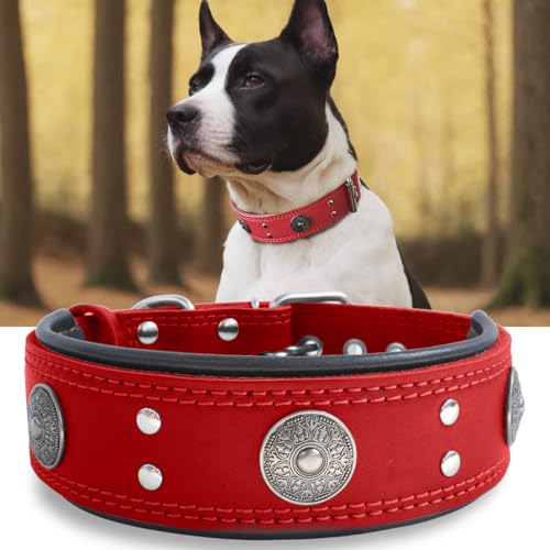 Hundehalsband Leder, 5 cm Breites Robustes Echtes Lederhalsband, Handgefertigt, Weich und Luxuriös, Auffällige Beste Wahl für Große und Mittelgroße Hunderassen, rot 42-52 cm Hundehalsband Leder, 5 cm Breites Robustes Echtes Lederhalsband, Handgefertigt, Weich und Luxuriös, Auffällige Beste Wahl für Große und Mittelgroße Hunderassen, rot 42-52 cm von HQSHNY