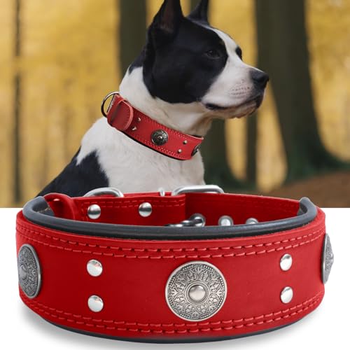 Hundehalsband Leder, 5 cm Breites Robustes Echtes Lederhalsband, Handgefertigt, Weich und Luxuriös, Auffällige Beste Wahl für Große und Mittelgroße Hunderassen, rot 49.5-60 cm Hundehalsband Leder, 5 cm Breites Robustes Echtes Lederhalsband, Handgefertigt, Weich und Luxuriös, Auffällige Beste Wahl für Große und Mittelgroße Hunderassen, rot 49.5-60 cm von HQSHNY