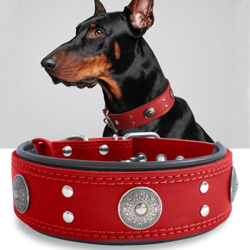 Hundehalsband Leder, 5 cm Breites Robustes Echtes Lederhalsband, Handgefertigt, Weich und Luxuriös, Auffällige Beste Wahl für Große und Mittelgroße Hunderassen, rot 57-67.5 cm Hundehalsband Leder, 5 cm Breites Robustes Echtes Lederhalsband, Handgefertigt, Weich und Luxuriös, Auffällige Beste Wahl für Große und Mittelgroße Hunderassen, rot 57-67.5 cm von HQSHNY
