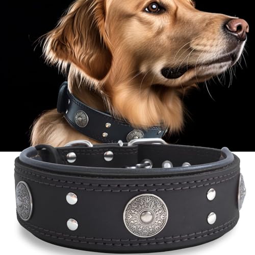 Hundehalsband Leder, 5 cm Breites Robustes Echtes Lederhalsband, Handgefertigt, Weich und Luxuriös, Auffällige Beste Wahl für Große und Mittelgroße Hunderassen,schwarz 42-52 cm von HQSHNY