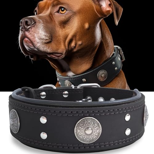 Hundehalsband Leder, 5 cm Breites Robustes Echtes Lederhalsband, Handgefertigt, Weich und Luxuriös, Auffällige Beste Wahl für Große und Mittelgroße Hunderassen,schwarz 57-67.5 cm von HQSHNY