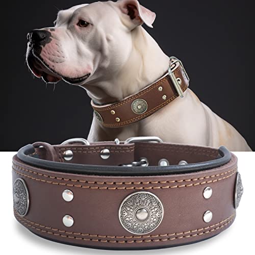 Hundehalsband Leder, 5 cm Breites Robustes Echtes Lederhalsband, Handgefertigt, Weich und Luxuriös, Auffällige Beste Wahl für Große und Mittelgroße Hunderassen 57-67.5 cm von HQSHNY