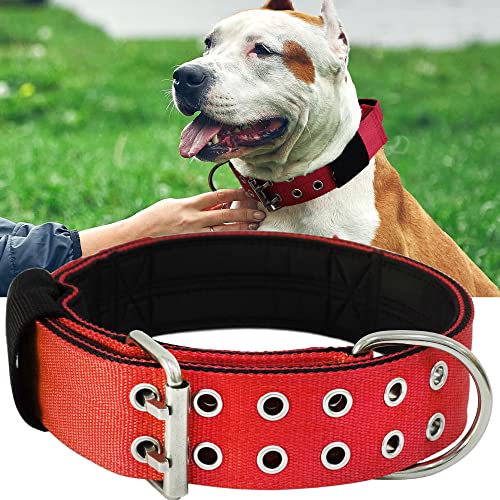 Hundehalsband für Große Hunde - 5 cm Breites Halsband mit Griff für Extragroße Hunderassen, schwerlast, Weich Gepolstertes Neopren Nylon Hunde Halsband für Grosse Hunde Big Dog Collar 43-56cm, Rot von HQSHNY