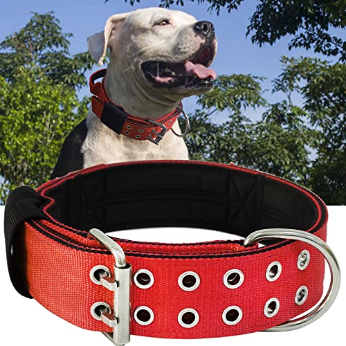 Hundehalsband für Große Hunde - 5 cm Breites Halsband mit Griff für Extragroße Hunderassen, schwerlast, Weich Gepolstertes Neopren Nylon Hunde Halsband für Grosse Hunde Big Dog Collar 56-66cm，Rot von HQSHNY