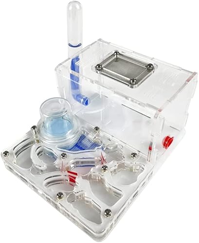 HRTC Ameisennest aus Acryl, Ameisenzucht, feuchtigkeitsspendendes Nest, wissenschaftliche Beobachtung, DIY, Ameisennest, Schloss, Ameisenfutter, Bauernhaus, Ameisenfarm von HRTC