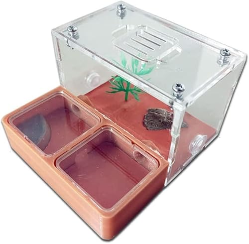 HRTC Minimalistische Ameisenburg Beton Flach Eco Ameisennest Bauernhof mit Trinkbrunnen Ameisenhaufen Hydrator mit Jagdplatz Ameisenfarm von HRTC