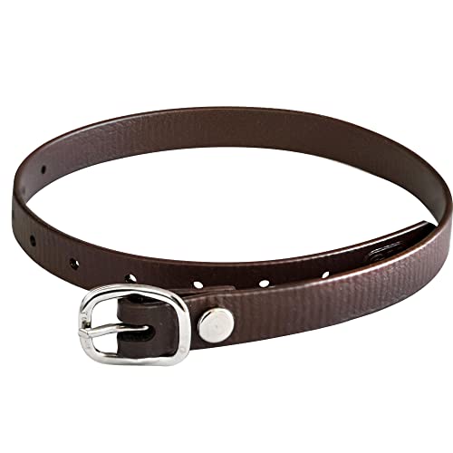 SPRENGER BioThane Sporenriemen, Edelstahl Rostfrei – 45 cm, braun SPRENGER BioThane Sporenriemen, Edelstahl Rostfrei – 45 cm, braun von Herm Sprenger