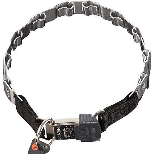 Sprenger Hundehalsband Neck-Tech Fun mit ClicLock Verschluss I Hundehalskette aus rostfreiem Edelstahl, Flache austauschbare Gliederkette, 48cm von SPRENGER