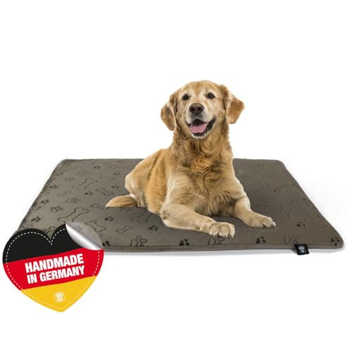 Made in Germany rutschfeste Hundedecke, Pfote Champagner, 55 x 75 cm, für kleine & große Hunde I Flauschige Hundedecke, waschbar, trocknergeeignet mit 4 cm Polster-Füllung von HS-Hundebett