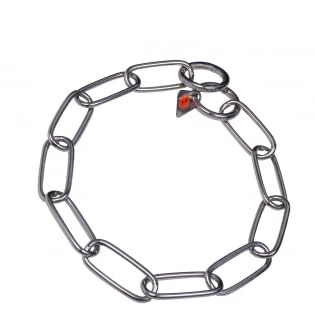 HS SPRENGER Basic Hundehalsband, mittelgroß, Edelstahl von HS SPRENGER