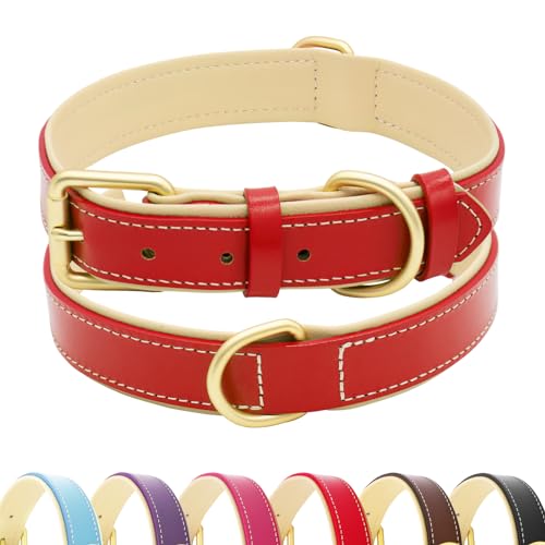 HSIGIO Hundehalsband aus Leder für kleine, mittelgroße und große Hunde, weich gepolstertes Hundehalsband mit goldfarbener Schnalle, verstellbare Echtlederhalsbänder für große Hunde (Rot, L) von HSIGIO