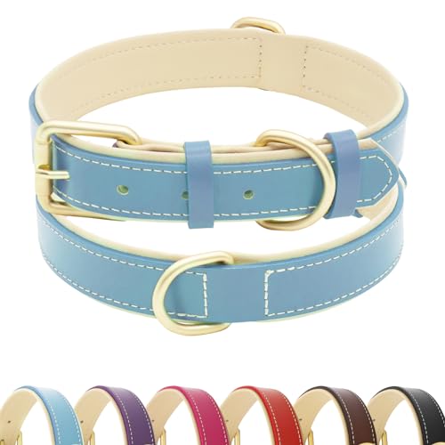 HSIGIO Hundehalsband aus Leder für kleine, mittelgroße und große Hunde, weich gepolstertes Hundehalsband mit goldfarbener Schnalle, verstellbares Echtlederhalsband für mittelgroße Hunde (Blaugrün, M) HSIGIO Hundehalsband aus Leder für kleine, mittelgroße und große Hunde, weich gepolstertes Hundehalsband mit goldfarbener Schnalle, verstellbares Echtlederhalsband für mittelgroße Hunde (Blaugrün, M) von HSIGIO