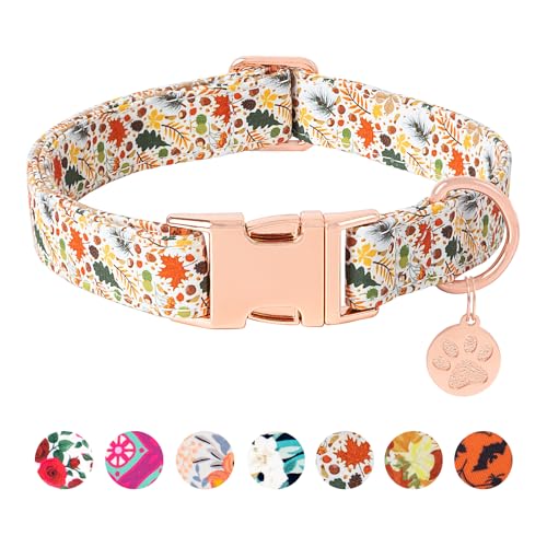 HSIGIO Hundehalsband aus weicher Baumwolle, verstellbares Hundehalsband mit Metallschnalle, farbiges Ahornblatt mit Anhänger, für Mädchen und Jungen, Geschenk für kleine, mittelgroße und große Hunde HSIGIO Hundehalsband aus weicher Baumwolle, verstellbares Hundehalsband mit Metallschnalle, farbiges Ahornblatt mit Anhänger, für Mädchen und Jungen, Geschenk für kleine, mittelgroße und große Hunde von HSIGIO